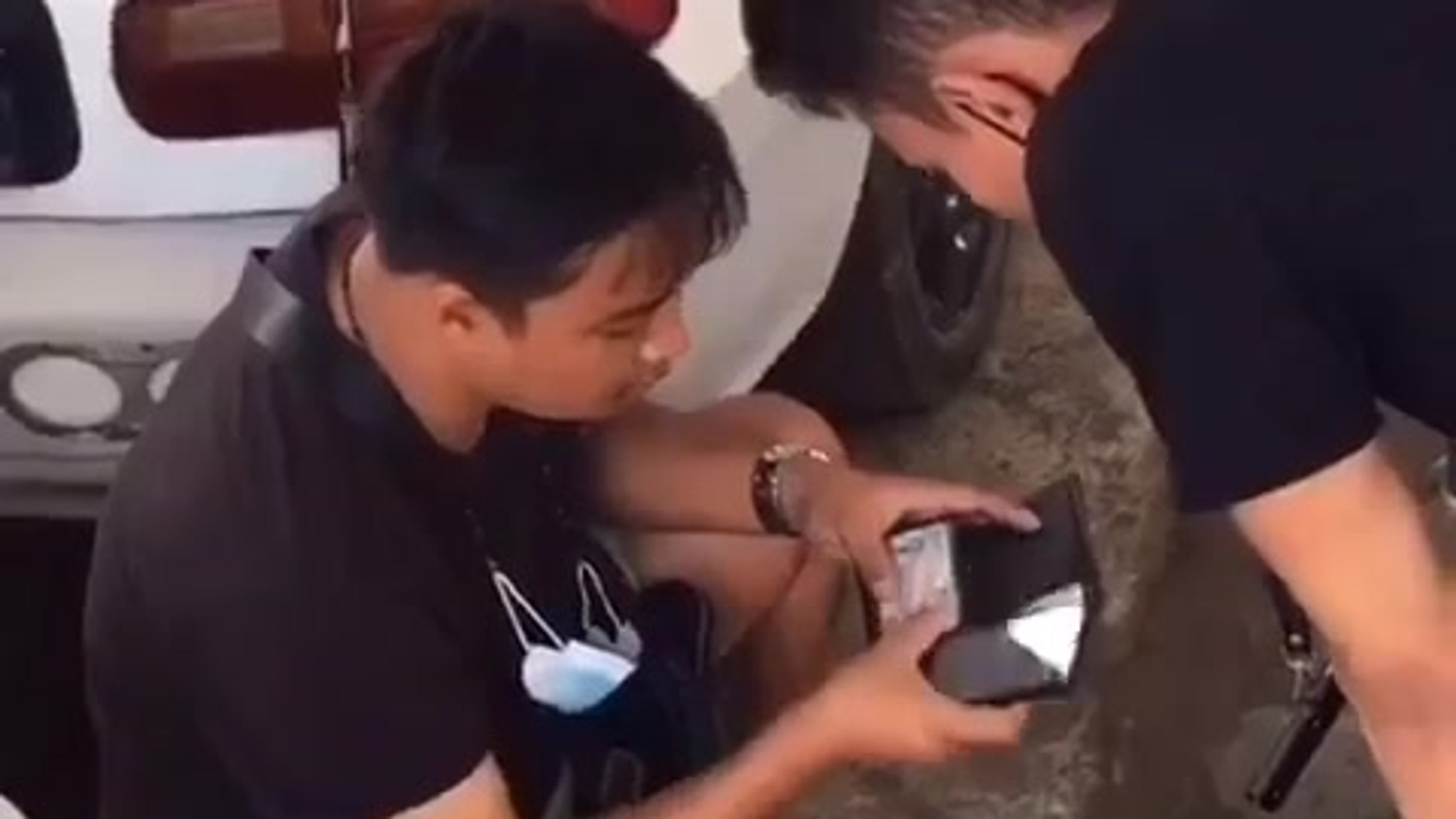 All Videos